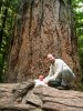 Click to view the full picture of big tree 1507.jpg